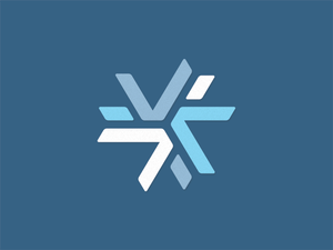 Netignite Logo Image